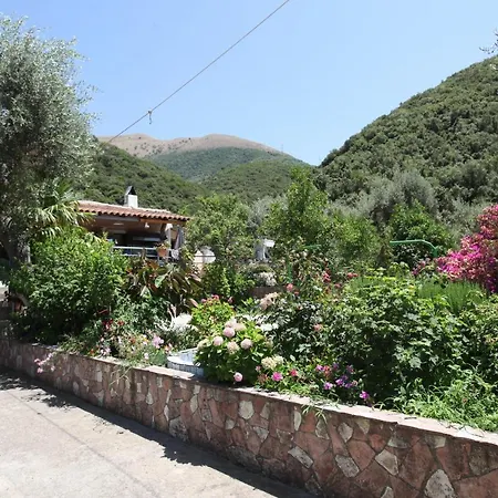 호텔 Hotel Moliana Piqeras
